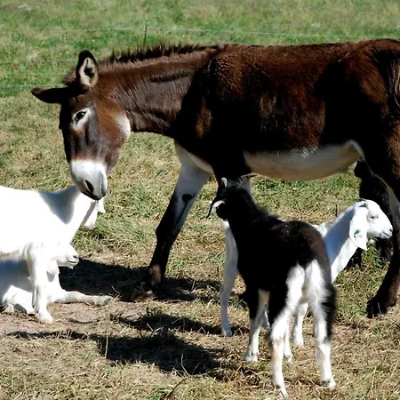 Chateau By The Sea Sleeps 6!!