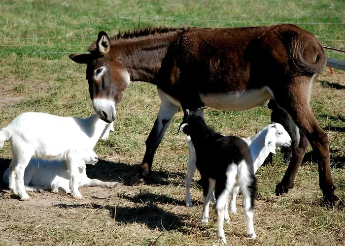 Chateau By The Sea Sleeps 6!!