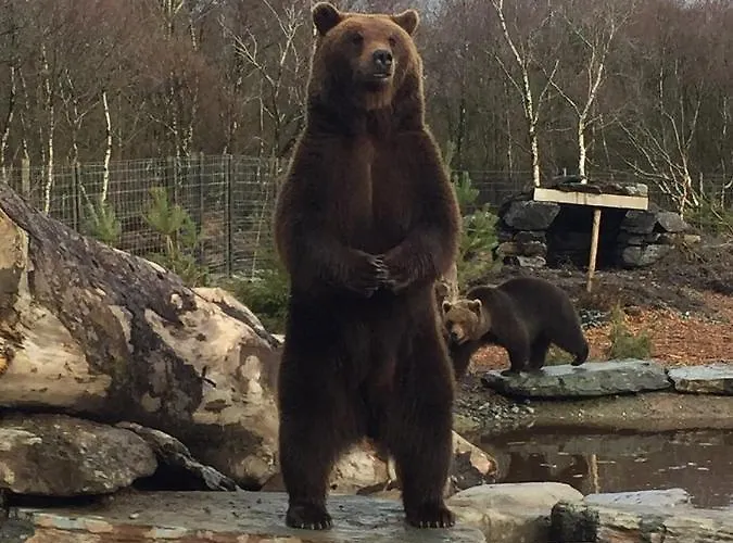 Chateau By The Sea Sleeps 6!! * Red Castle